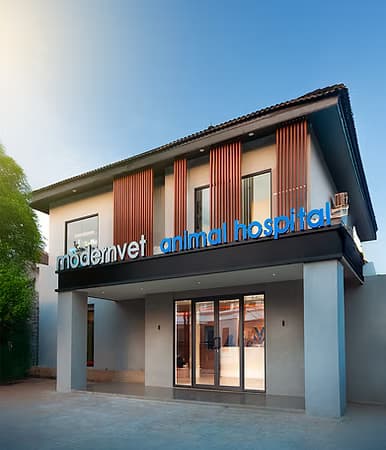 Modernvet Hospital